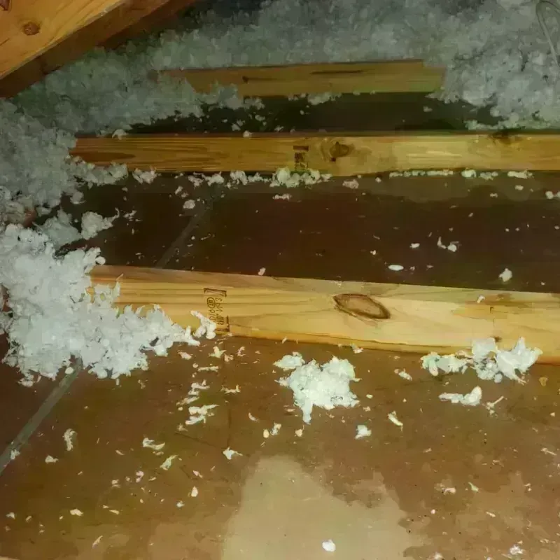 Attic Water Damage in Athens, WI