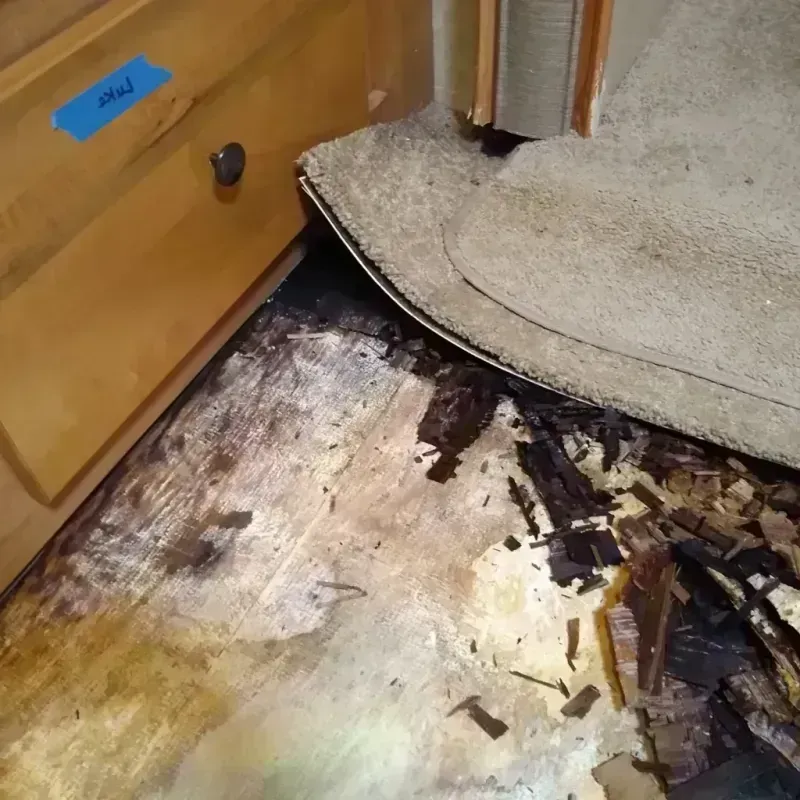 Wood Floor Water Damage in Athens, WI